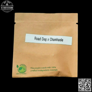 GuamMaineian Gardens Road Dog x Chamhaole 5 Regular Seeds