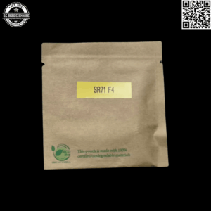 GuamMaineian Gardens SR71 F4 6 Feminized Seeds