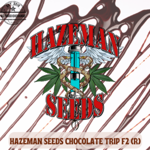 Chocolate Trip F2 12 Regular Seeds