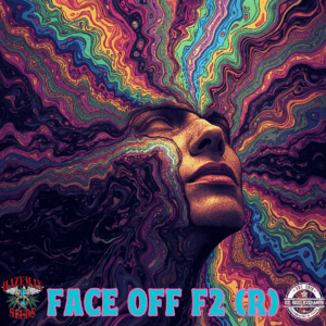 Face Off F2 12 Regular Seeds