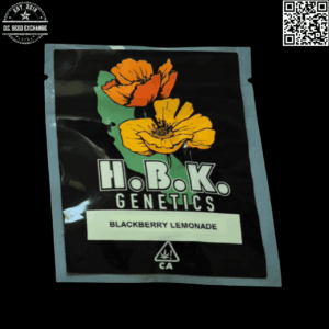 Half Baked Kids (HBK) Genetics Blackberry Lemonade (Lemon Larry OG x Purple Unicorn) 10 Regular Seeds