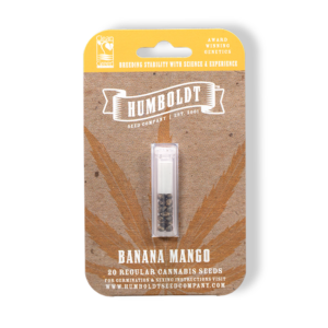 Banana Mango F4 20 Regular Seeds