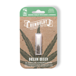 Dream Queen S2 ([Mazar Star x Skunk #1] x Green Crack) 20 Regular Seeds