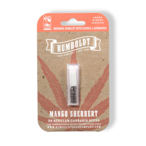 Mango Sherbert F3 20 Regular Seeds