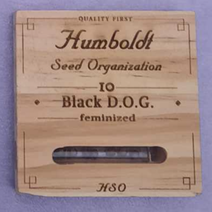 Humboldt Seed Organization Black D.O.G 10 Feminized Seeds