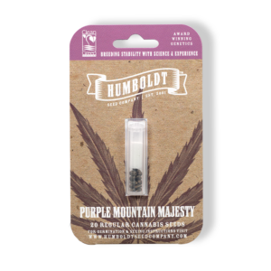Purple Mountain Majesty Bx4 20 Regular Seeds