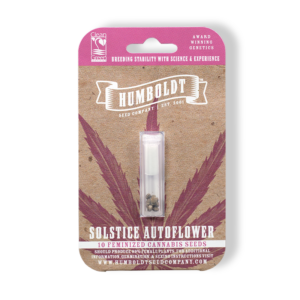 Solstice Autoflower (Lowryder x Humboldt Headband Bx3) 10 Feminized Seeds