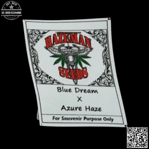 Hazeman Seeds Blue Dream x Azure Haze 10 Regular Seeds