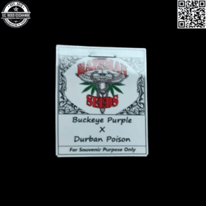 Hazeman Seeds Buckeye Purple x Durban Poison 12 Regular Seeds