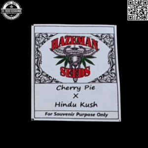 Hazeman Seeds Cherry Pie x Hindu Kush 12 Regular Seeds
