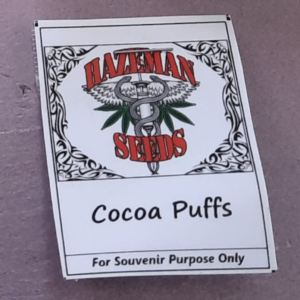 Hazeman Seeds Cocoa Puffs F1 10 Regular Seeds