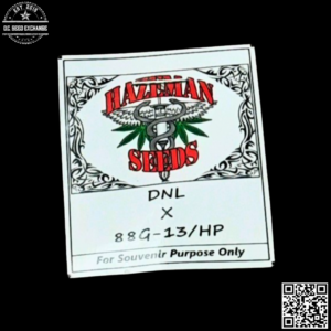 Hazeman Seeds DNL x 88G13/HP 10 Regular Seeds