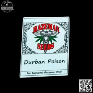 Hazeman Seeds Durban Poison F2 12 Regular Seeds