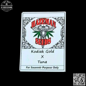 Hazeman Seeds Kodiak Gold x Tuna 10 Regular Seeds