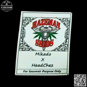 Hazeman Seeds Mikado x Headchez 10 Regular Seeds