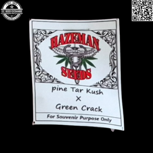 Hazeman Seeds Green Crack x Pine Tar Kush 10 Regular Seeds