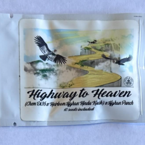 Heart & Soil Seeds Highway to Heaven 10 Regular Seeds