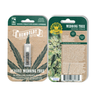 HendRx Wedding Tree 10 Feminized Seeds
