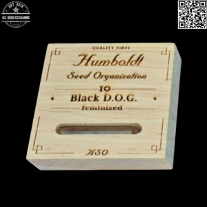 Humboldt Seed Organization Black D.O.G. (Blackberry Kush x Emerald Headband) 10 Regular Seeds