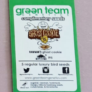 Greenteam Gentics Ghost Cookie I-95 5 Regular Seeds