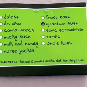 Homegrown Natural Wonders Quantum Kush F1 5 Regular Seeds