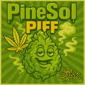 PineSol Piff F1 (Slymer × Black Haze BX) 5 Regular Seeds
