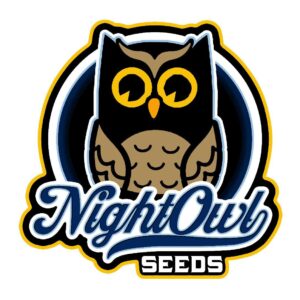 91 Grapes F1 Auto 3 Feminized Autoflower Seeds