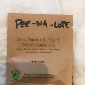 Pee-Na-Lope (Stink Bomb x Steve Lemme OG) 6 Regular Seeds Autographed by Steve Lemme