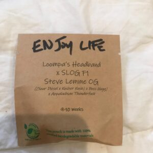 Enjoy Life (Loompa's Headband x Steve Lemme OG) 6 Regular Seeds