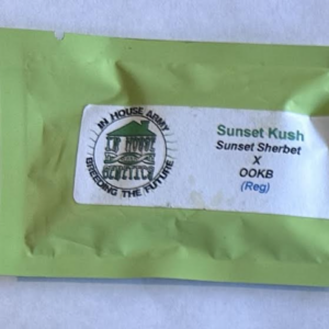 In House Genetics Sunset Kush 10 Regular Seeds