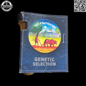 Ital Foundation Big Sur Holy Weed x Jamaican Ice Headband 25 Regular Seeds