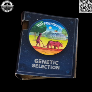 Ital Foundation Genetic Selection Polecat x Jamaican Ice Headband 25 Regular Seeds