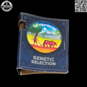 Ital Foundation Northern Lights #5 x Power Plant (PP) F2 25 Regular Seeds