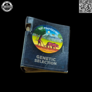 Ital Foundation Durban Poison IBL x Jamaican Dream 10 Regular Seeds