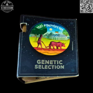 Ital Foundation Creme Brulee Jamaican Ice Headband 10 Regular Seeds