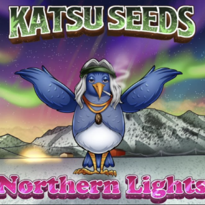 Northern Lights F3 10 Regular Seeds