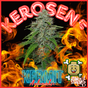 Kerosene Kermit Auto 5 Feminized Autoflower Seeds