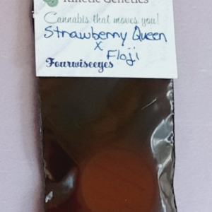 Kinetic Genetics Strawberry Queen x Floji 10 Feminized Seeds