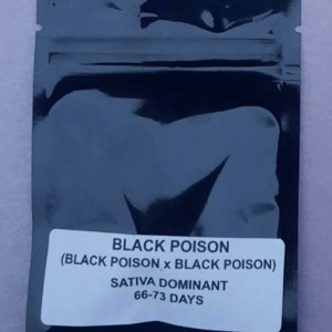 Kingdom Organic Seeds Black Poison F2 10 Regular Seeds
