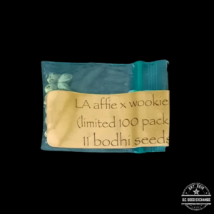 Bodhi Seeds LA Affie × Wookie 11 Regular Seeds