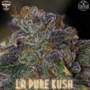 LA Pure Kush F2 (LA Pure Kush cut x LAPK male) 12 Regular Seeds