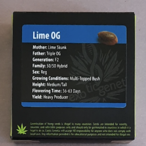 Exotic Genetix Lime OG F2 10 Regular Seeds