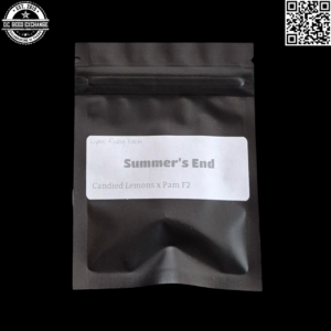 Lyme Rising Farm Summer's End (Candied Lemons x Pam F2) 10 Regular Seeds