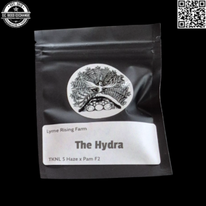 Lyme Rising Farm The Hydra (Triangle Kush/Northern Lights #5/Haze x Pam F2) 20 Regular Seeds