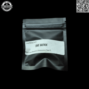 Lyme Rising Farm The Work F1 (Black Lime Reserve/Testarossa x Pam F2) 10 Regular Seeds