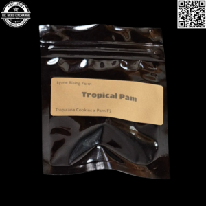 Lyme Rising Farm Tropical Pam (Tropicana Cookies x Pam F2) 10 Regular Seeds