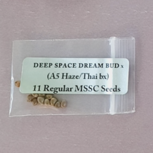 Magic Spirit Seed Co Deep Space Dream Bud x A5 Haze/Thai BX 11 Regular Seeds