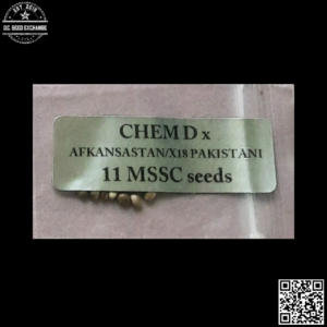 Magic Spirit Seed Company Chem D x Afkansastan/X18 Pakistan 11 Regular Seeds