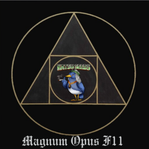 Mandelbrot’s Magnum Opus F11 10 Regular Seeds