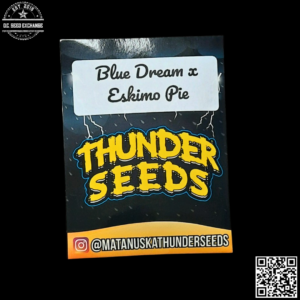 Matanuska Thunder Seeds Blue Dream x Eskimo Pie 10 Regular Seeds